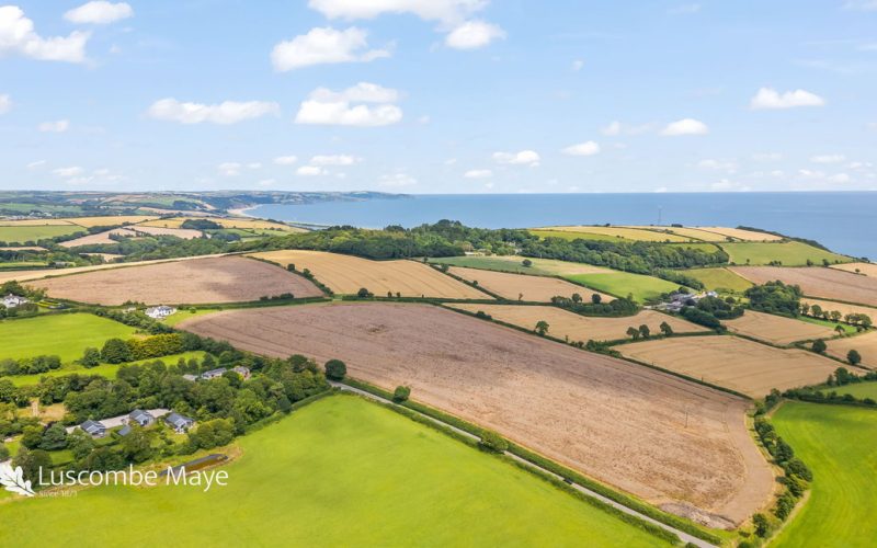 DJI_0651_1723640682213.jpg