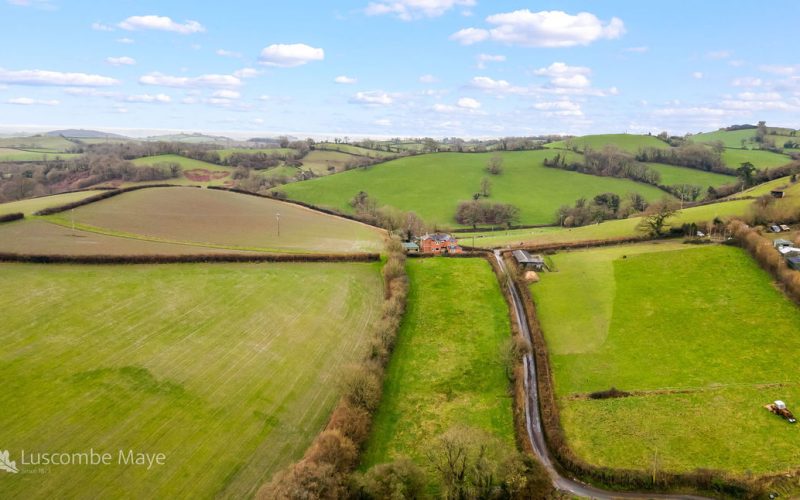 DJI_0124_1770285012087.jpg
