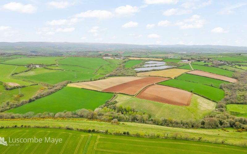 DJI_0372_1777306359175.jpg