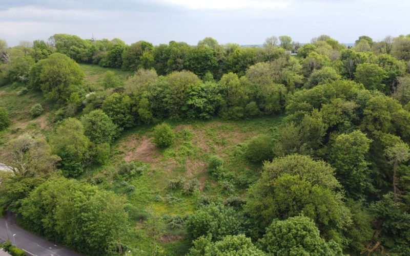 DJI_0217_1786437680781.jpg