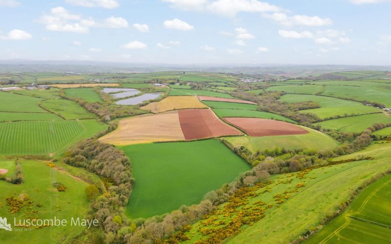 DJI_0375_1777306479564.jpg