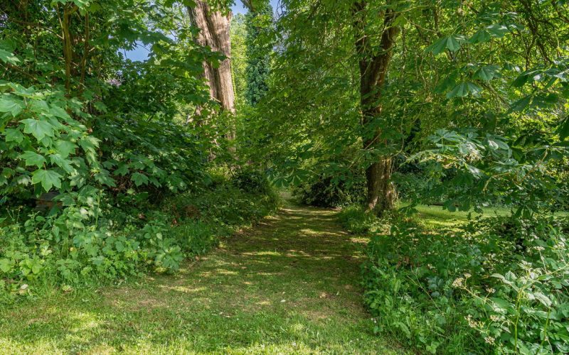 42_82740_1780330146581.jpg