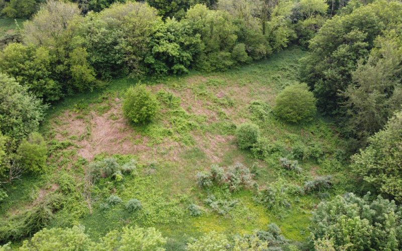DJI_0204_1786437680754.jpg