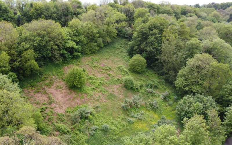 DJI_0208_1786437680763.jpg