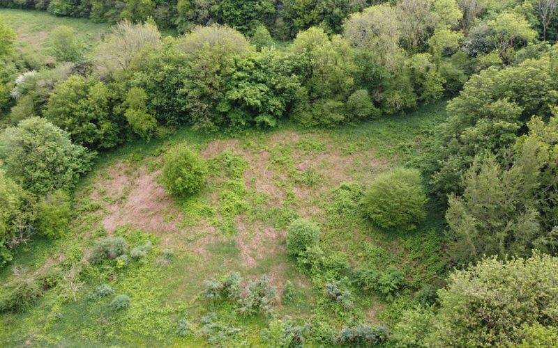 DJI_0224_1786437680792.jpg