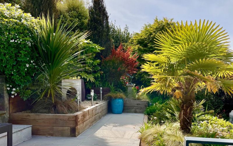 Terrace_1788787016113.jpeg