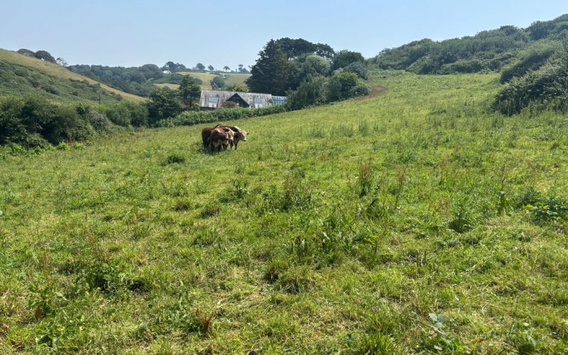 IMG_1578_1783687578744.jpeg