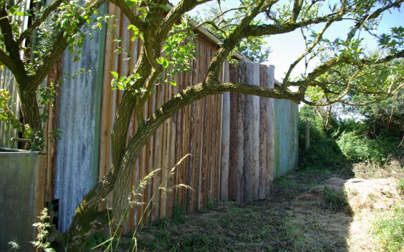 Lot1-Barn_1784277355286.jpg