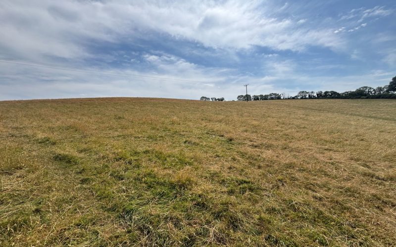 IMG_1984_1792501856925.jpeg