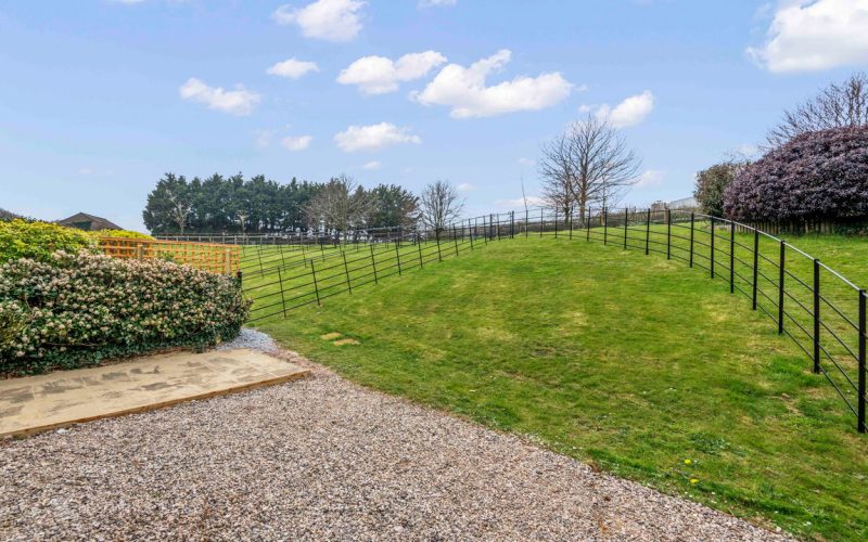 DSC_5585-_2__1744706287300.jpg