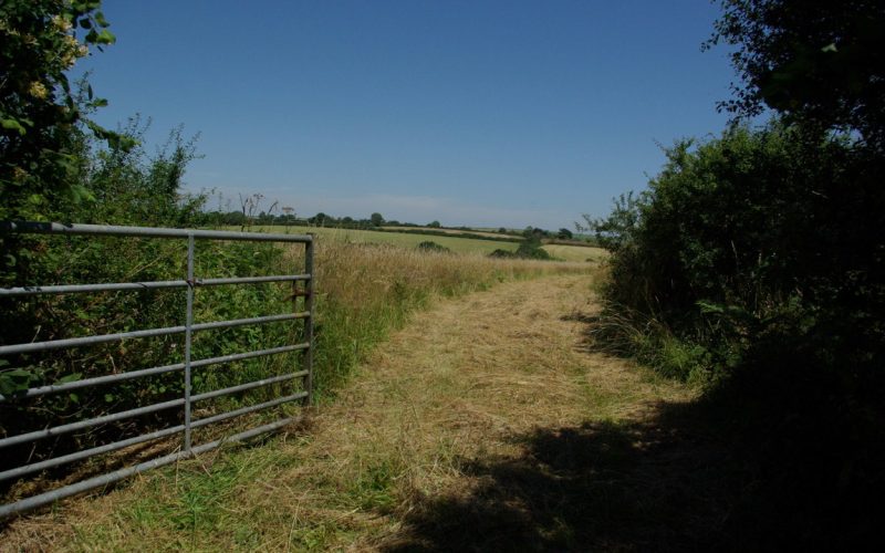 Lot1-Main-Gate_1784277355308.jpg