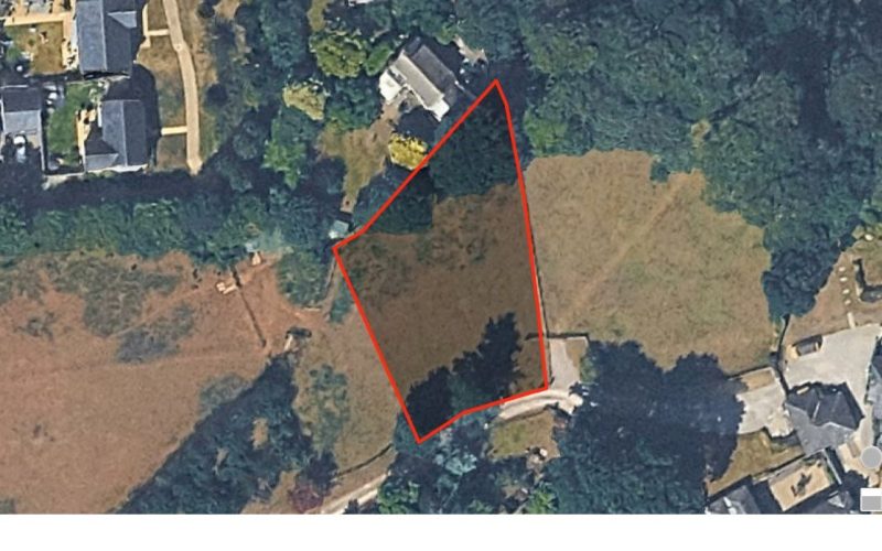Paddock-Site-Plan_1790004435846.jpg
