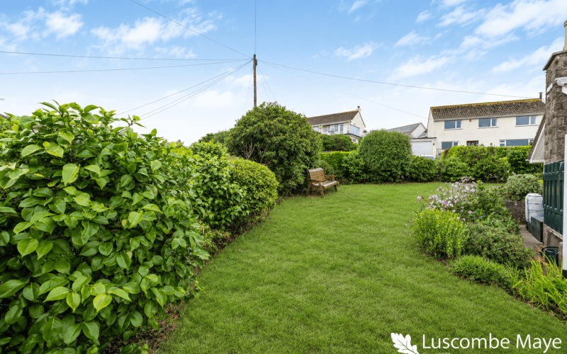 Garden-with-bench_1788774272745.png