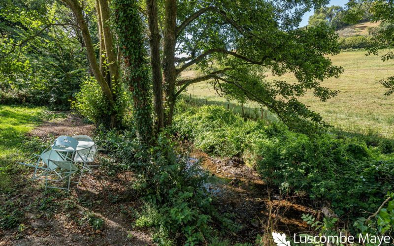 22_89468_watermarked_1786353064389.jpg