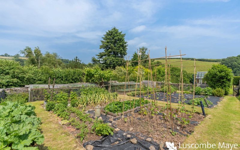 80_85056_watermarked_1782726648801.jpg