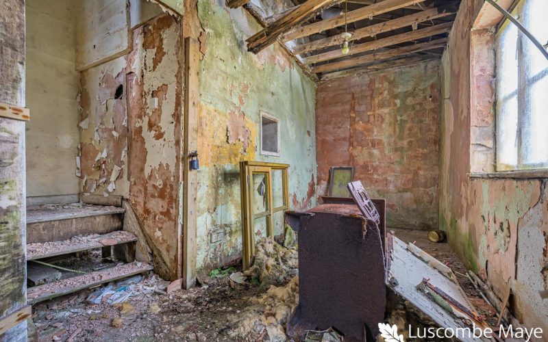 22_90484_watermarked_1787759349042.jpg