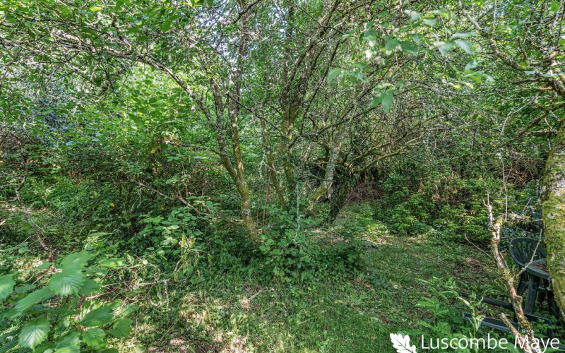 43_82850_watermarked_1783331911613.jpg