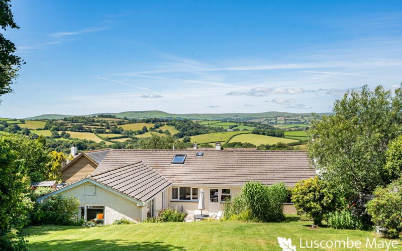 87_86167_watermarked_1783327619060.jpg