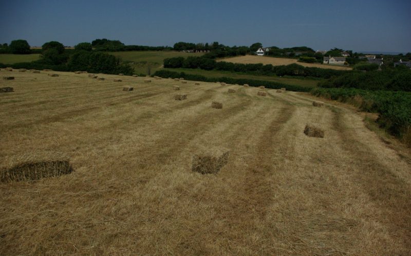 Lot1-Main-Field-Baled_1784277355295.jpg