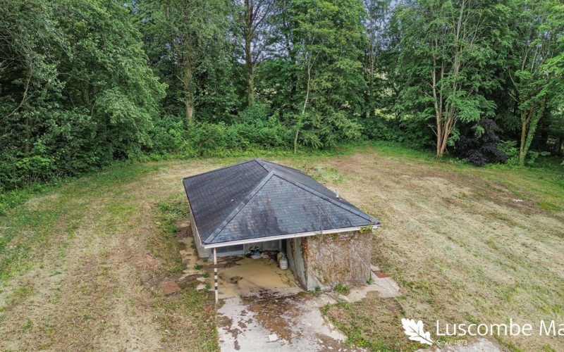 19_83350_watermarked_1780930999170.jpg