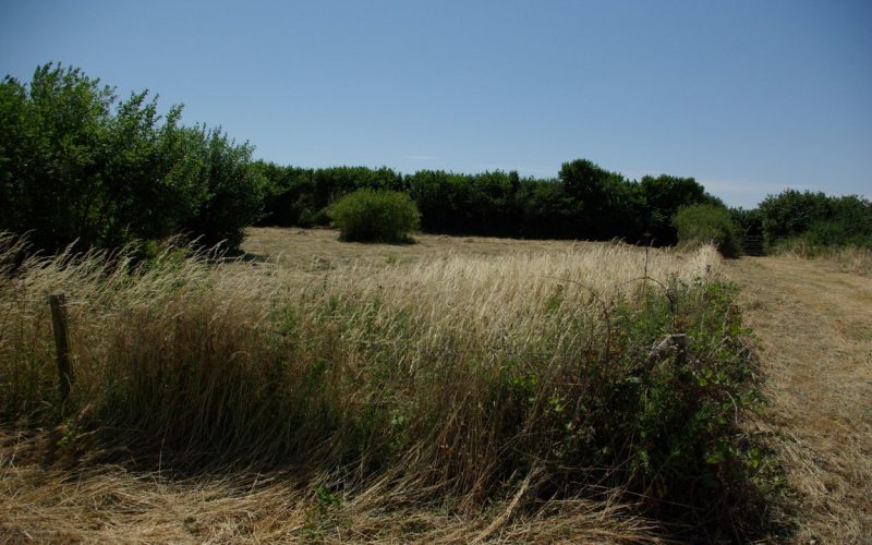 Lot2-boundary-from-Lot1_1784277355319.jpg