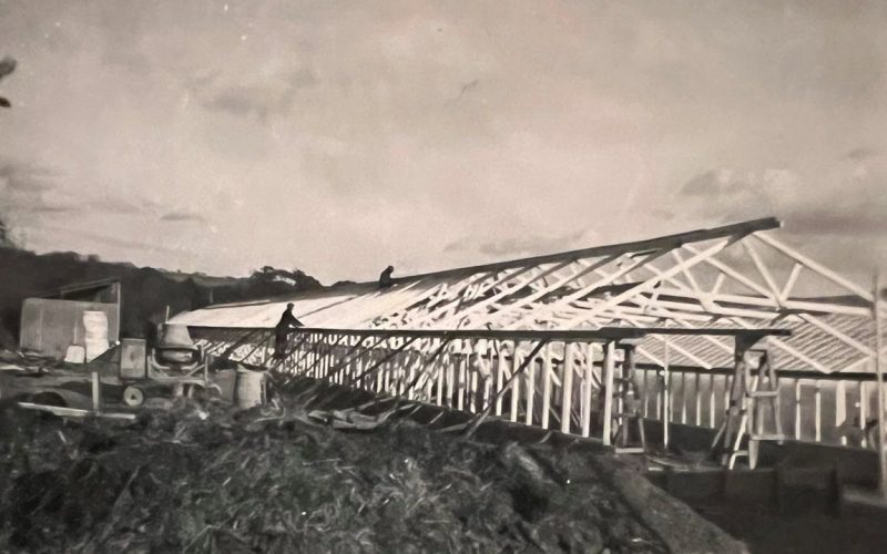 West-Dene---Historical-photo_1788963487397.jpg