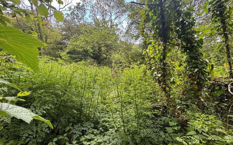 PHOTO-2026-05-28-16-30-04_1__1782915646101.jpg