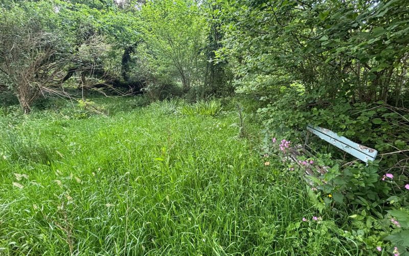 PHOTO-2026-05-28-16-30-05_2__1782915256480.jpg