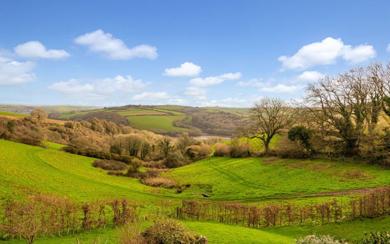 A37---Lincombe-Barn-Reworked---240216_1770138533654.jpg