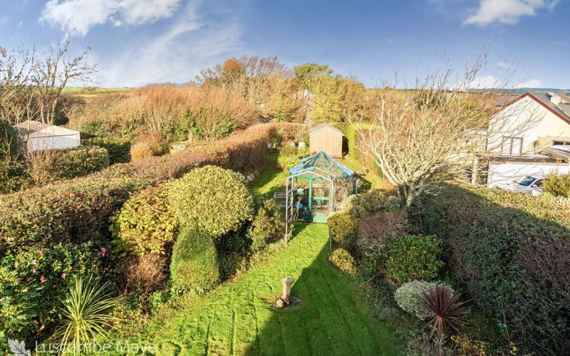 301117f1-535c-4638-af85-bcc1e1d29d5c_1764847570864.jpg