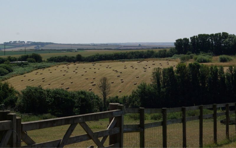 Lot-1-View-of-Main-Field-from-Kingston_1784277355285.jpg