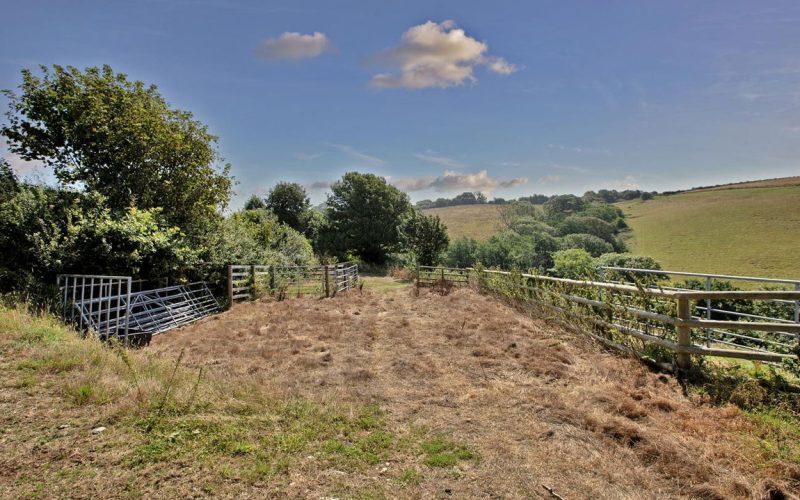 grimpstonleigh2025grimpstonleigh-_1_8SMART_1769773119268.jpg