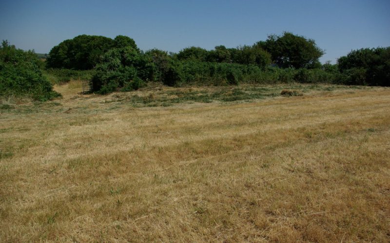 Lot1-gateway-into-enclosure-from-main-field_1784277355292.jpg