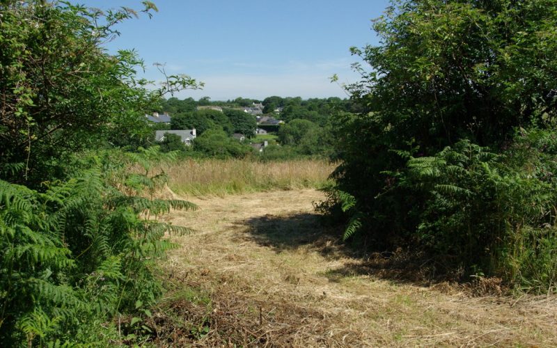 Lot1-gateway-from-enclosure-to-second-field_1784277355289.jpg