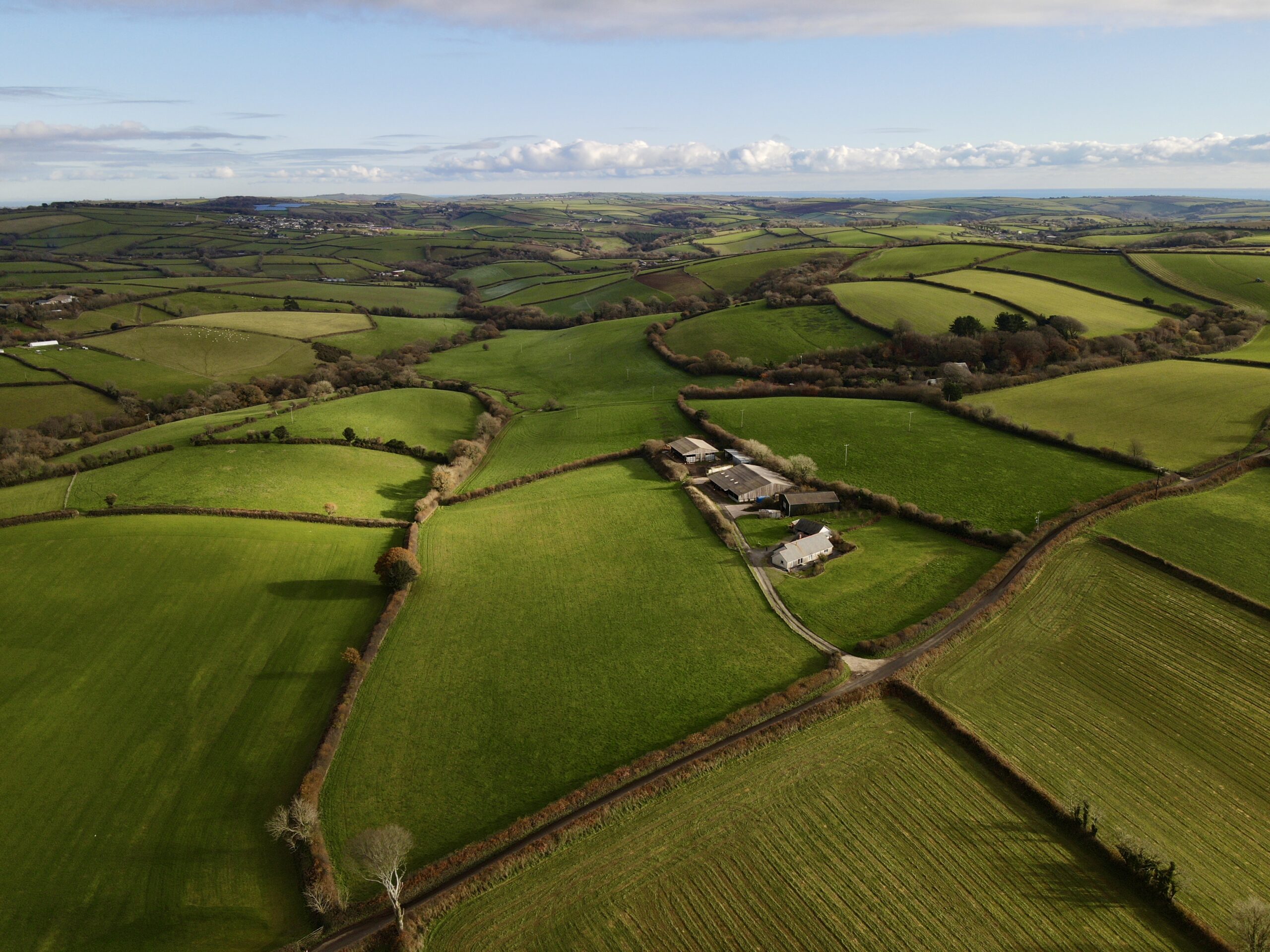 Farmland for investors