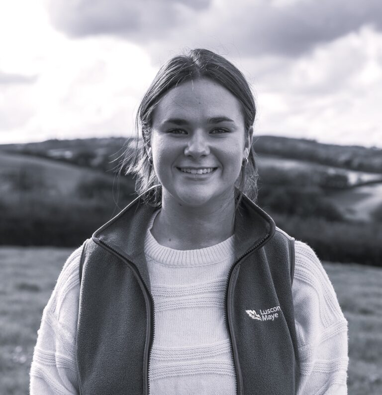 Phoebe Parker | Route to Rural