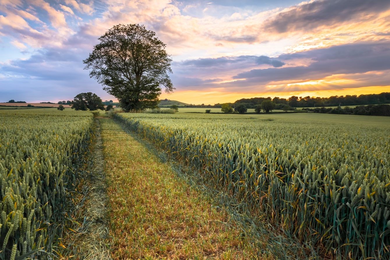 Agri-Environment Support Update