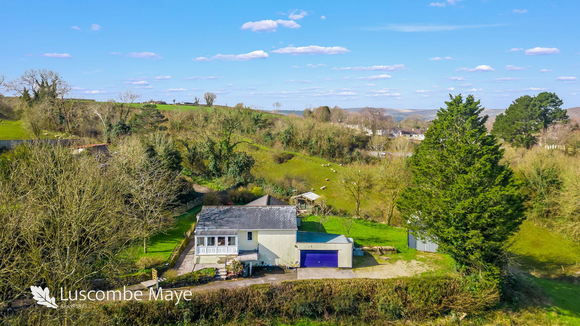 Buckfast Road, Buckfast