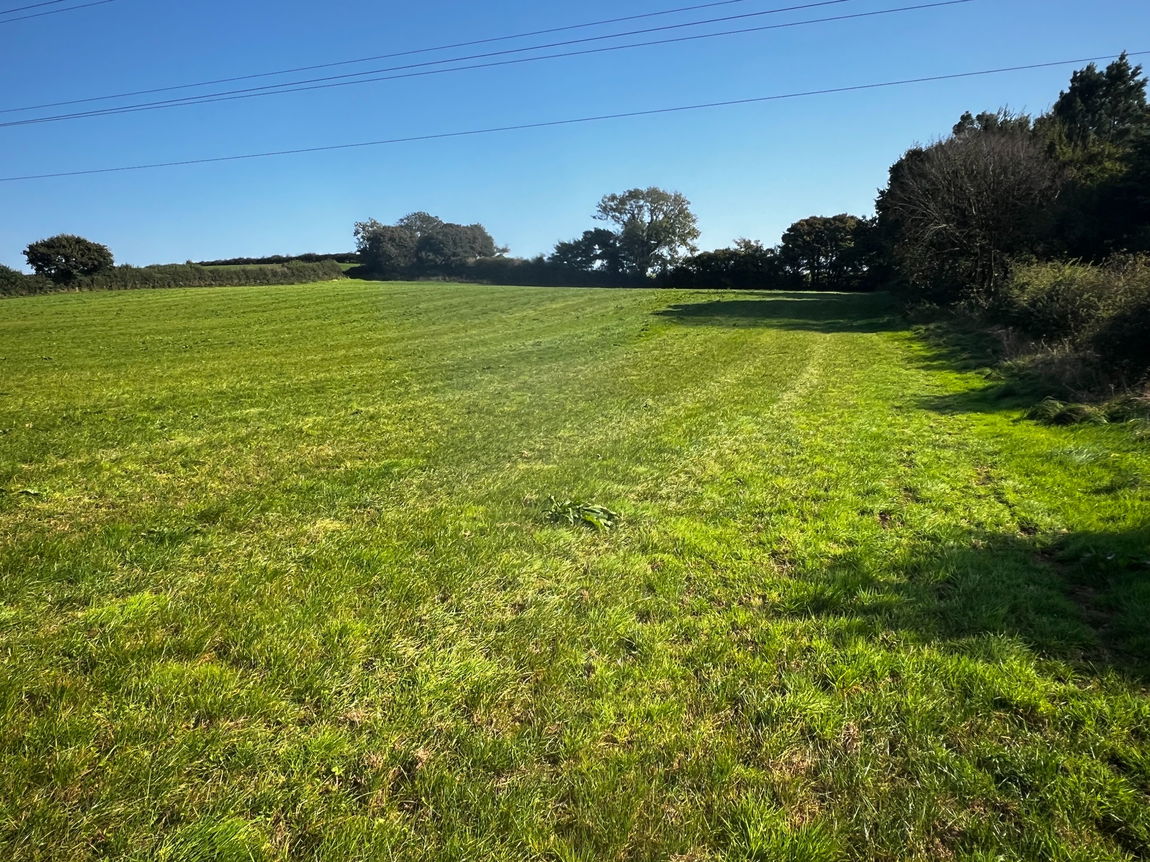 Near Ugborough, Ivybridge