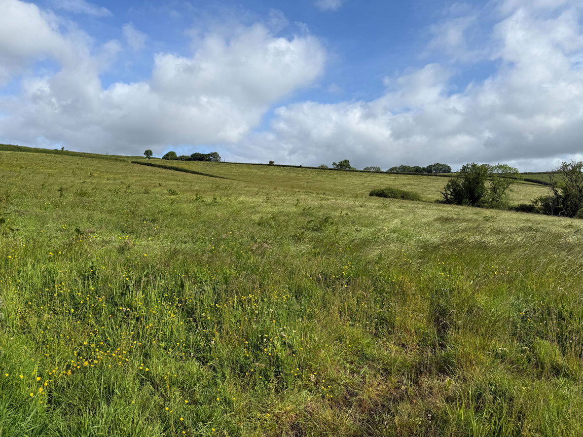 LOT 3 – Dipwell Farm, Ashburton