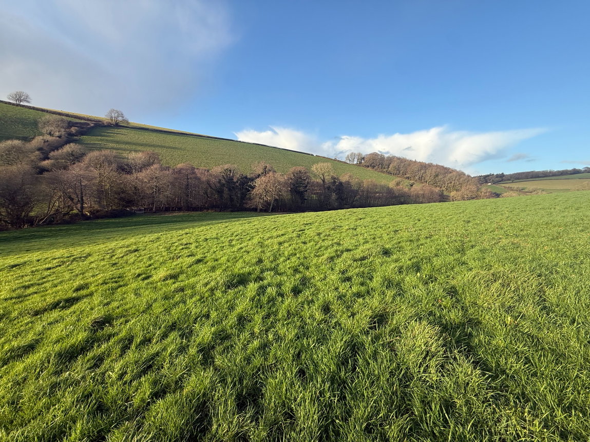 Kingsbridge, Devon, TQ7 2DP