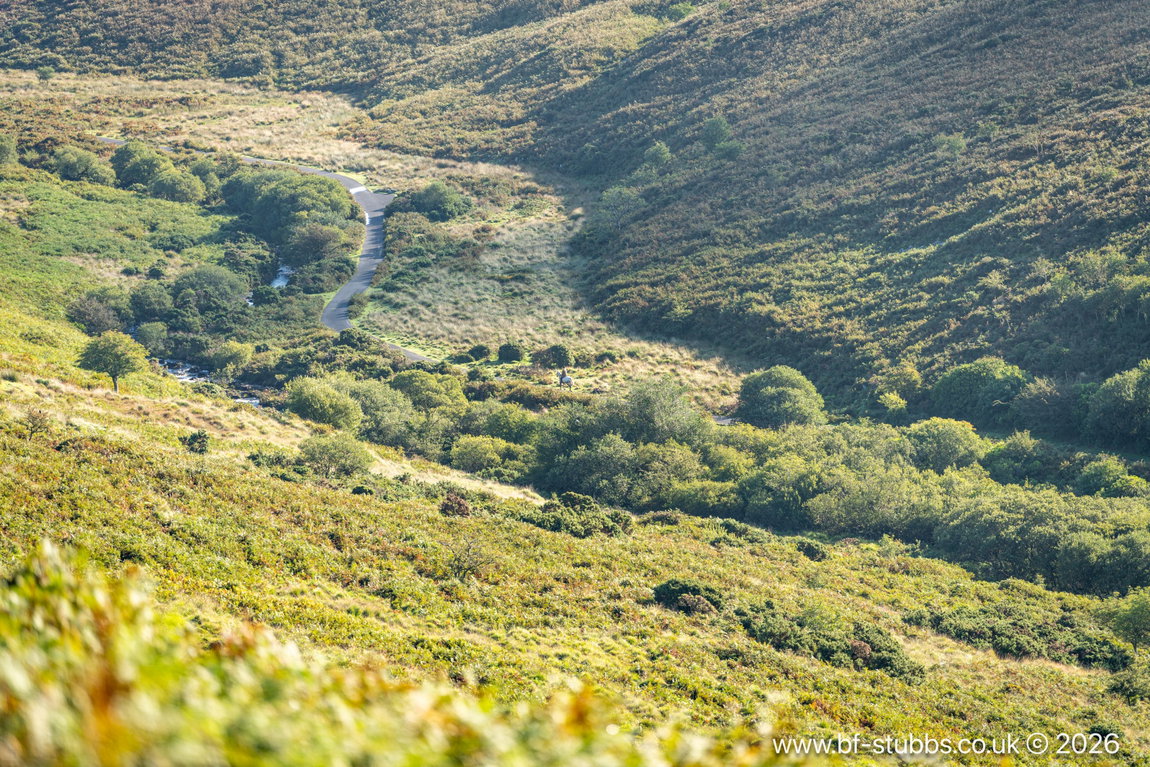 LOT 2 – Didworthy, Dartmoor, South Brent