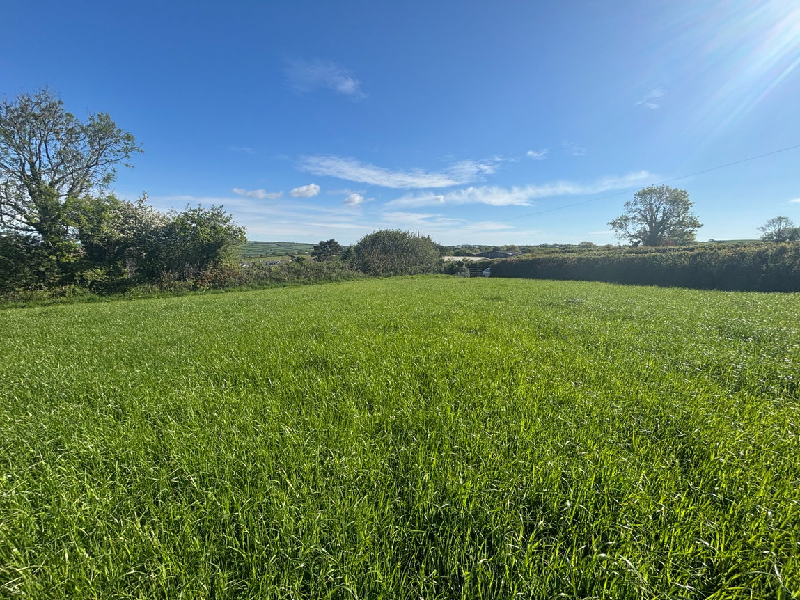 East Allington, Totnes