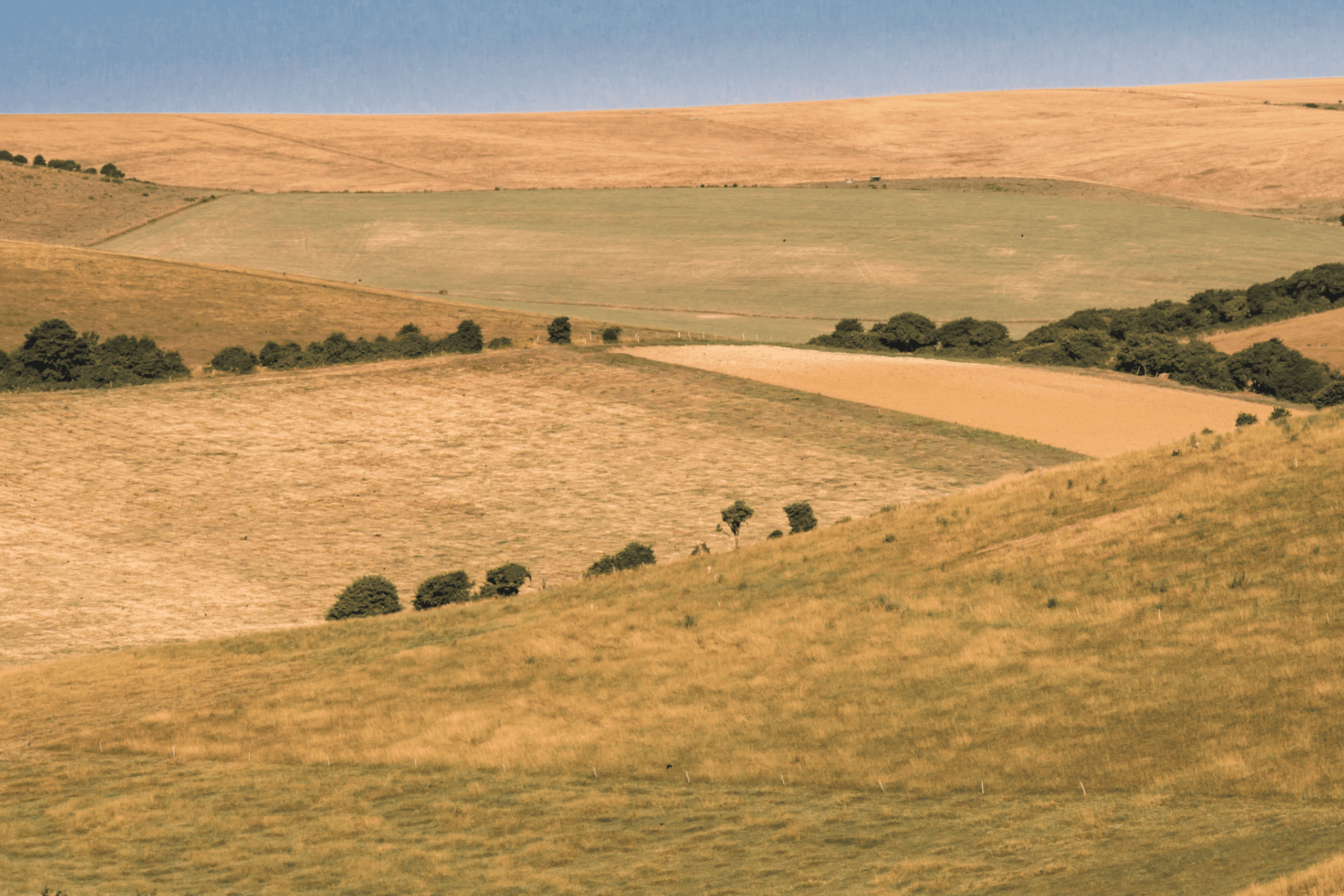 Drought support for farmers