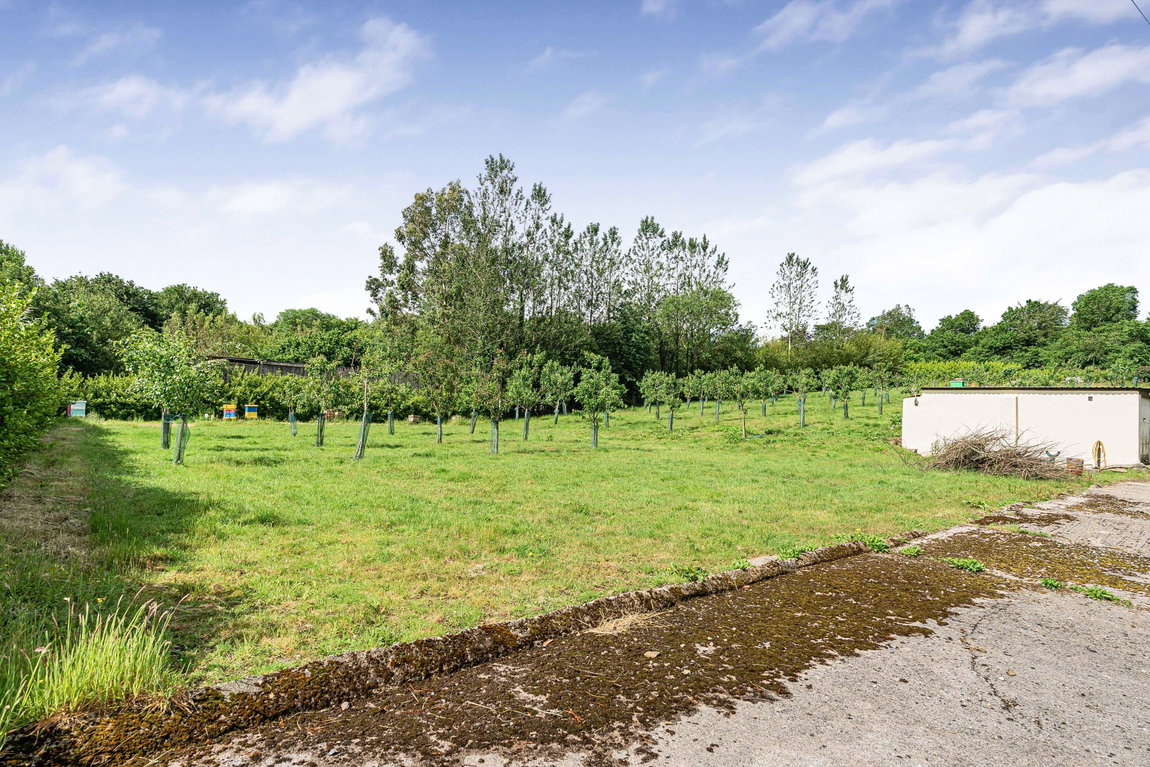 Cheston Lane, South Brent