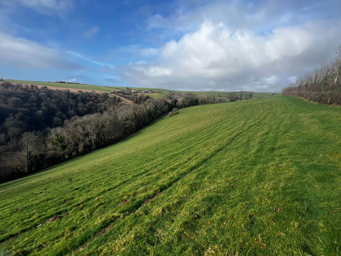East Allington, Totnes