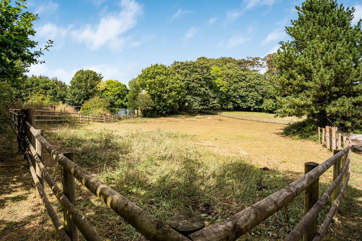 LOT 3 – Paddock at Brixton House