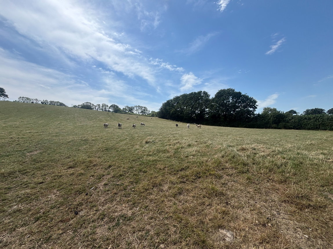 Endsleigh, Ivybridge – Lot 2