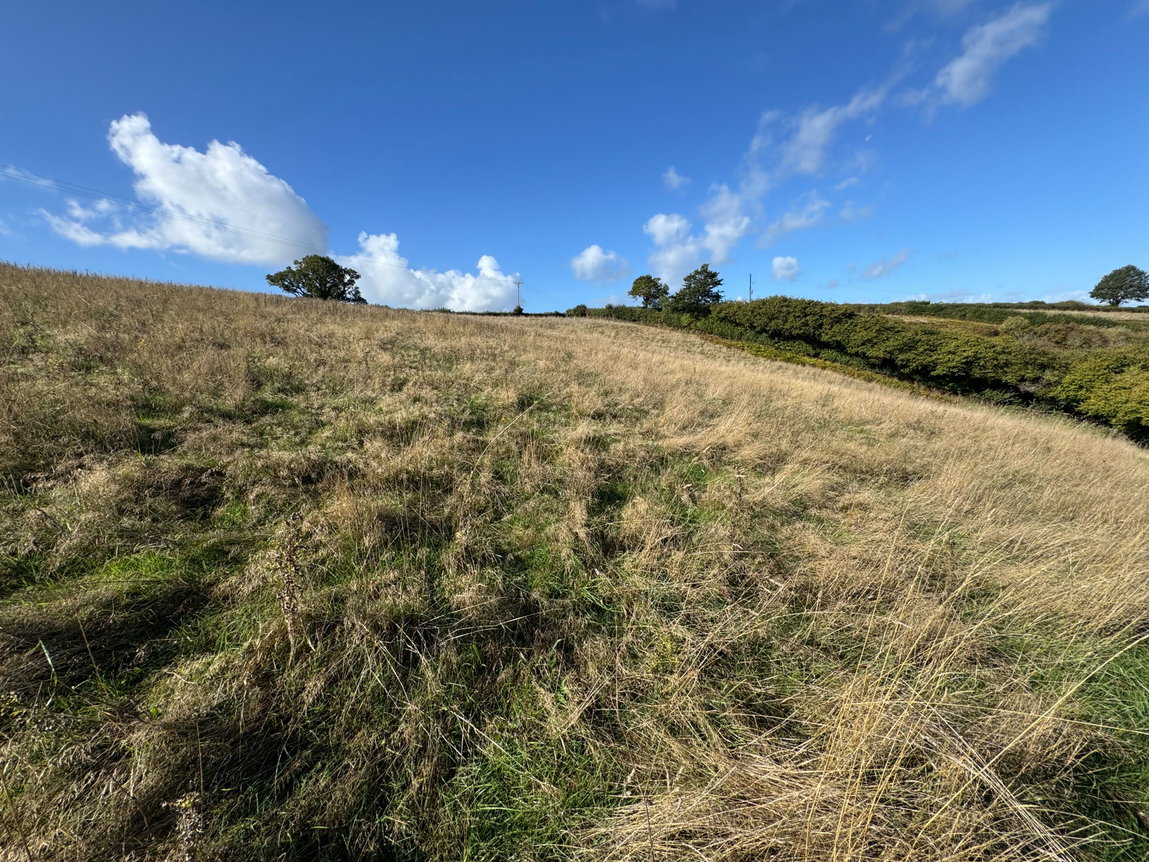 Combeinteignhead, Newton Abbot – Lot 2