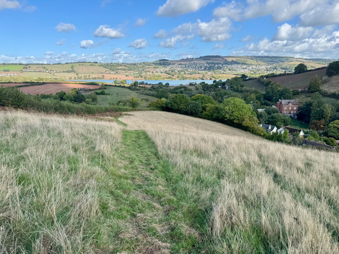 Combeinteignhead, Newton Abbot